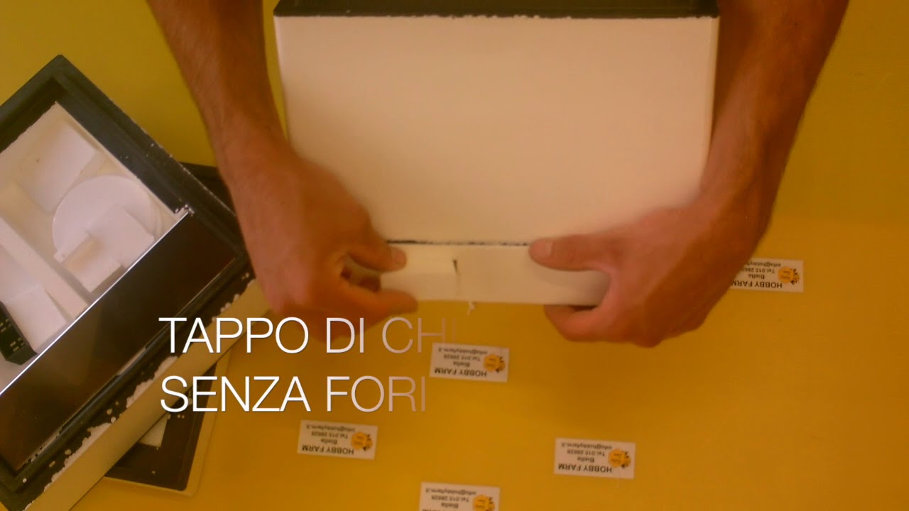 ARNIETTA DI FECONDAZIONE LYSON - HOBBYFARM