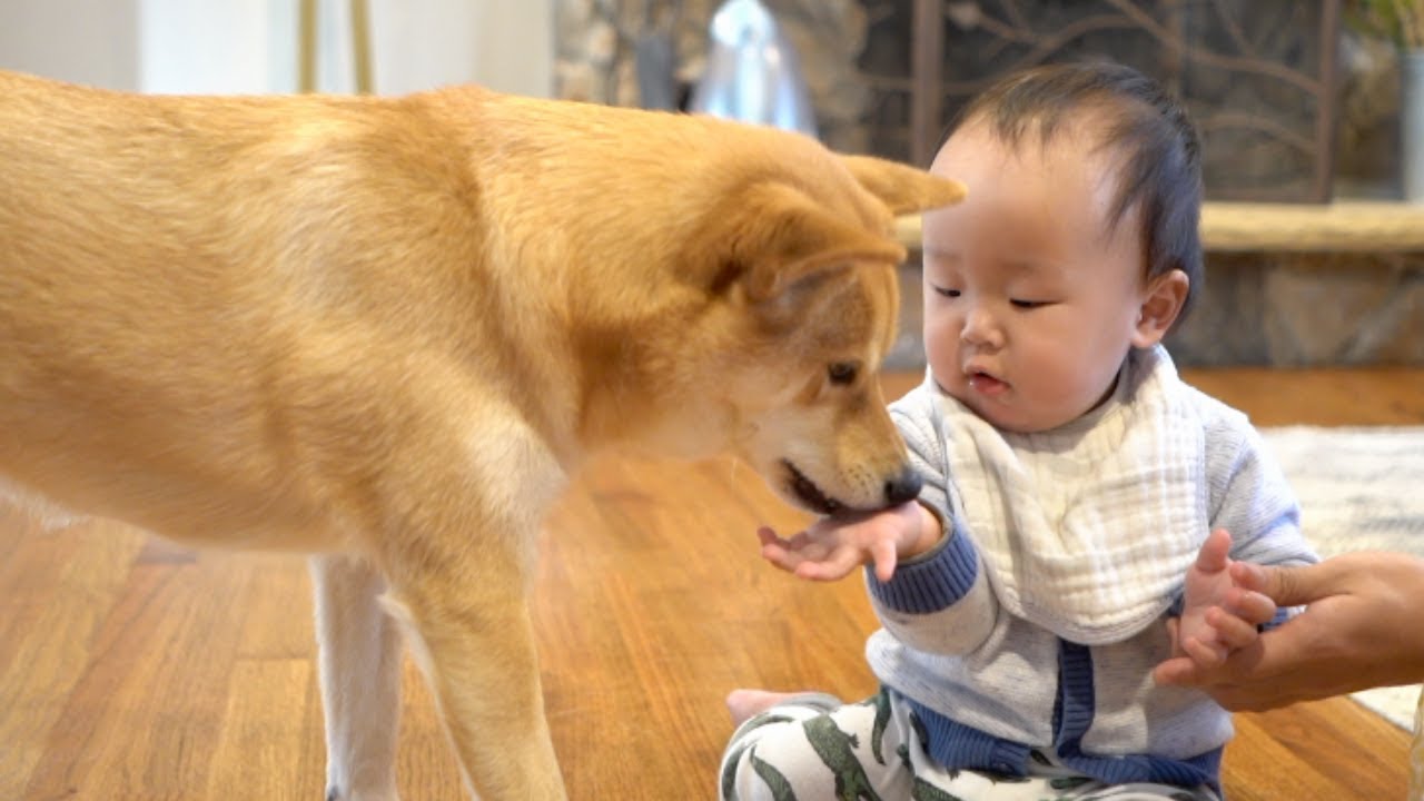 teaching my son how to share.