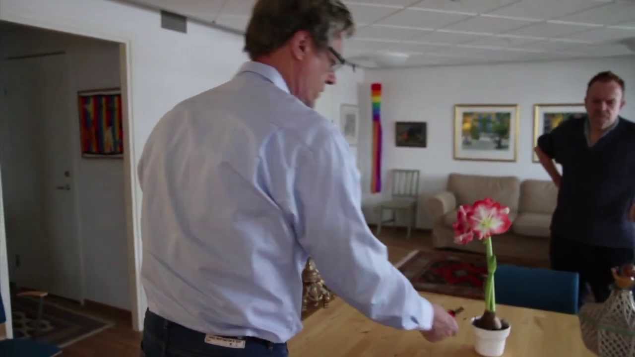 Europe's first gay retirement home