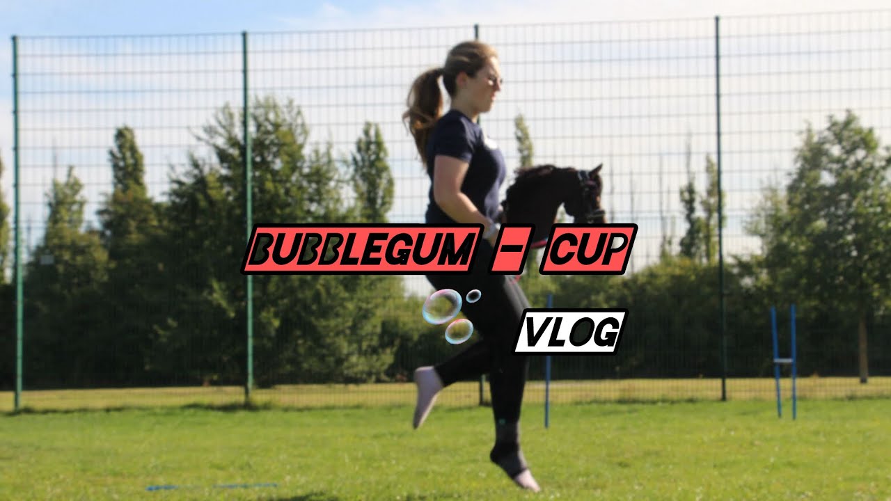 Hobby horsing Turnier ( Vlog) 💐💗//kht._.francis// #hobbyhorsing #khtfrancis 