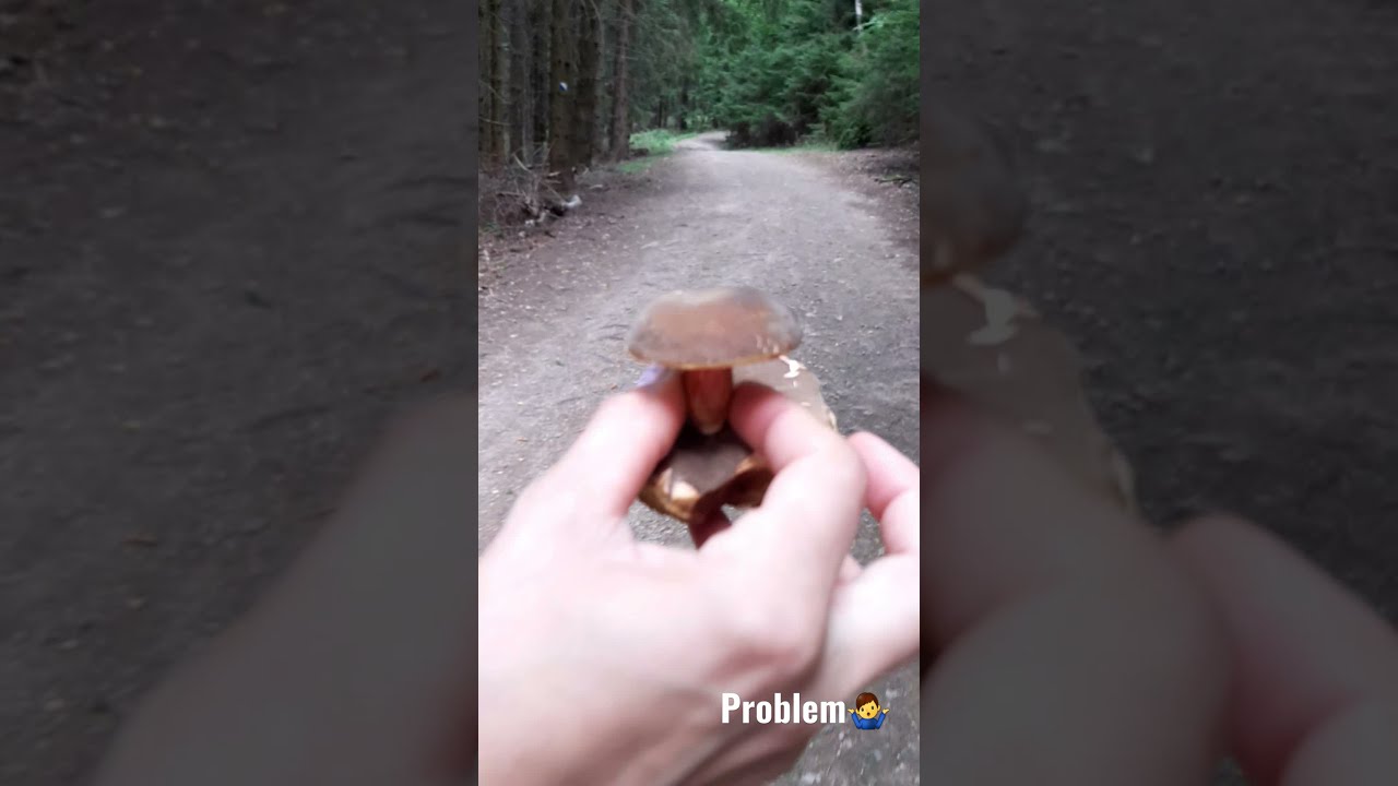 Problem z grzybem 🤷&zwj;♂️
