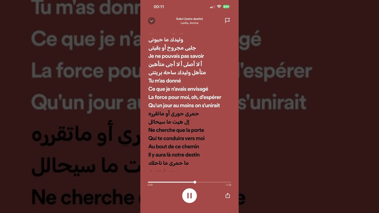 Leslie feat Amine - Sobri ( Speed Up)