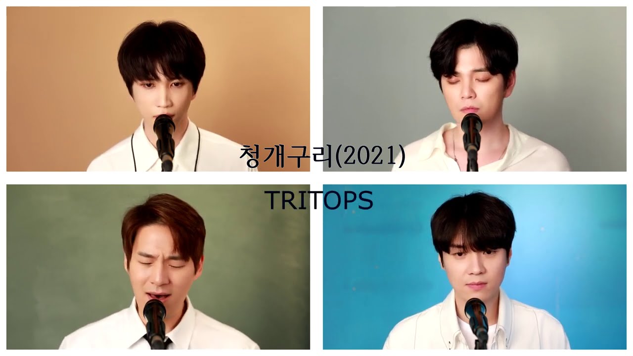 [커버영상] 청개구리2021ver.-TRITOPS |  트리탑스(원곡)