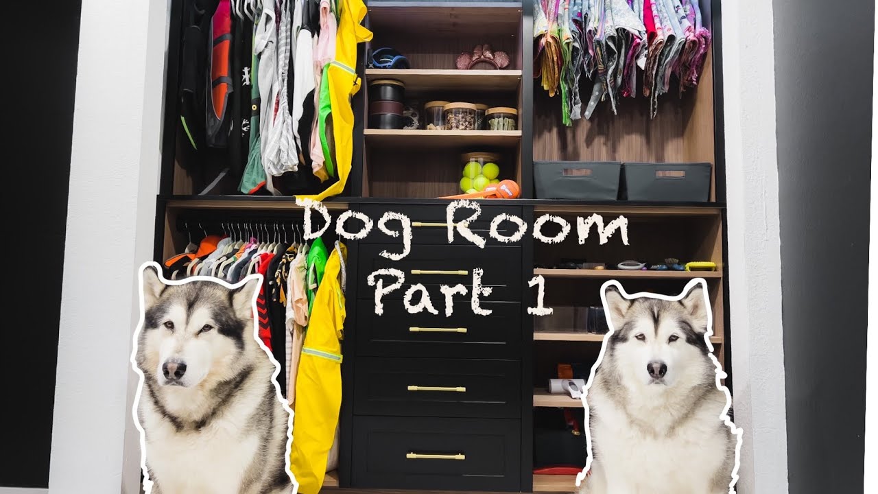 Diy Dog room for my Malamute Part 1 | Dog Closet