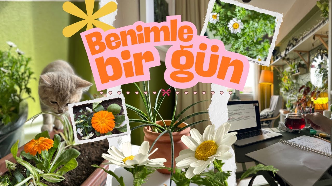 minik arkadaşımla sakin bir gün 🎀 | AGS-bitki dikimi terapisi-kitap okumalı bir gün 🙂‍↔️