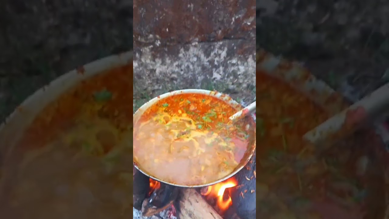 chicken jhol # short video #  Sunday Bonbhojon
