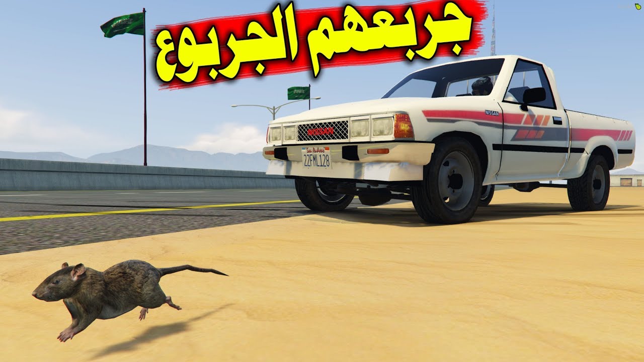 راحوا يجربعون وجربعهم الجربوع  ( تحدي الجربعه)  شف وش سوا فيهم الجربوع