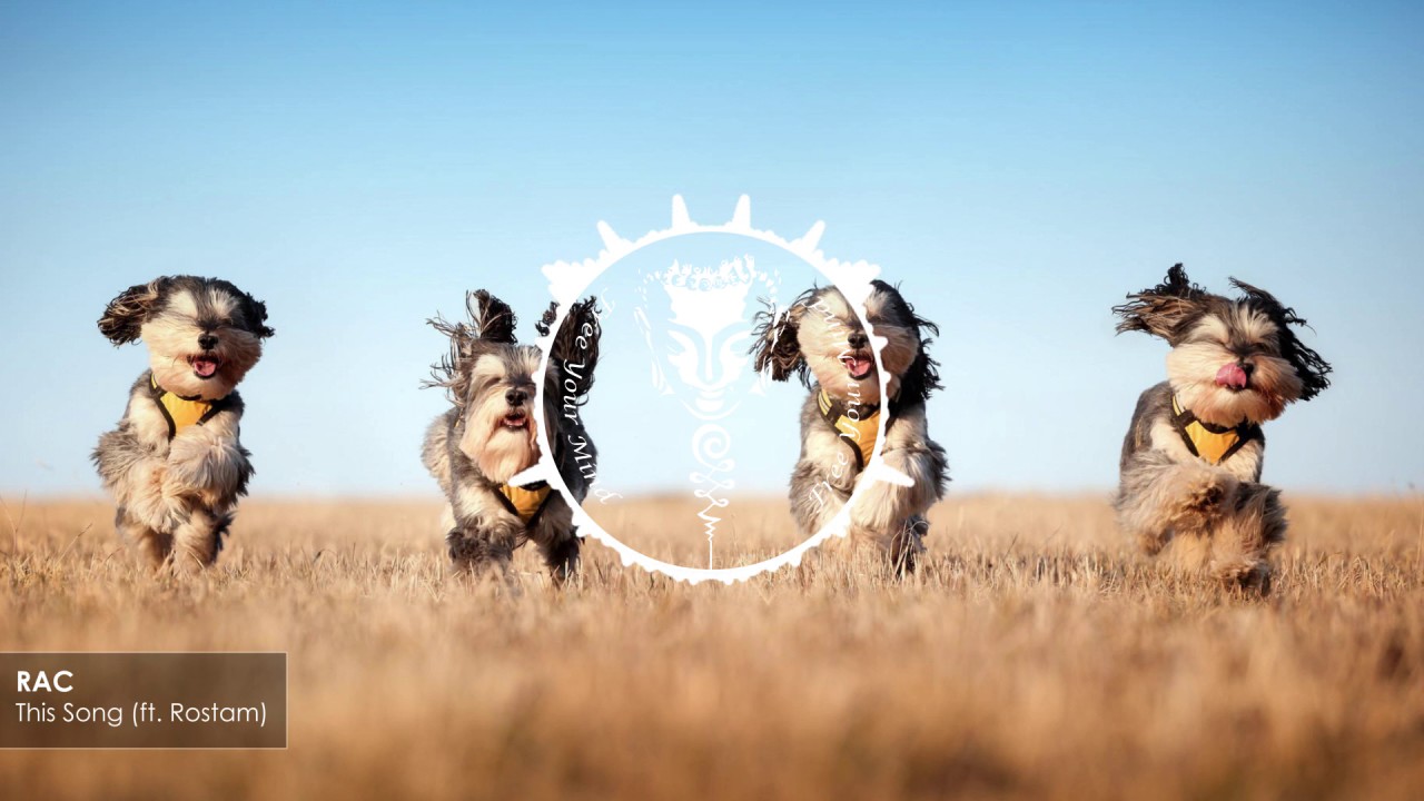 RAC - This Song (ft. Rostam)