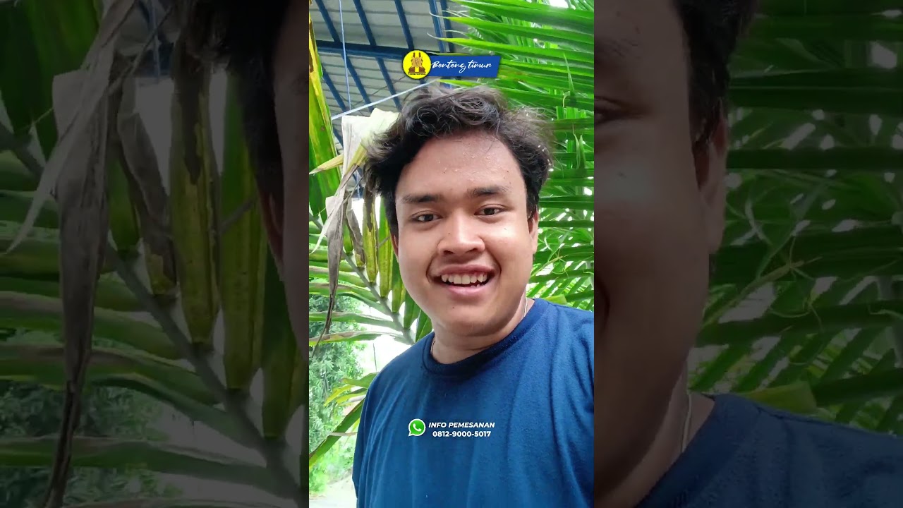 Timbangan hewan ada pagar.. Timbangan Alexa Auto Hold hub 081290005017