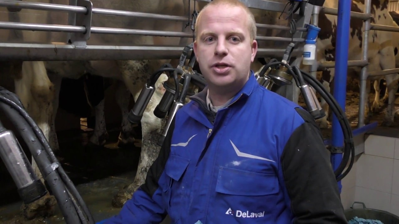 Thijs Vrints over de Solidex melkstal met kelder
