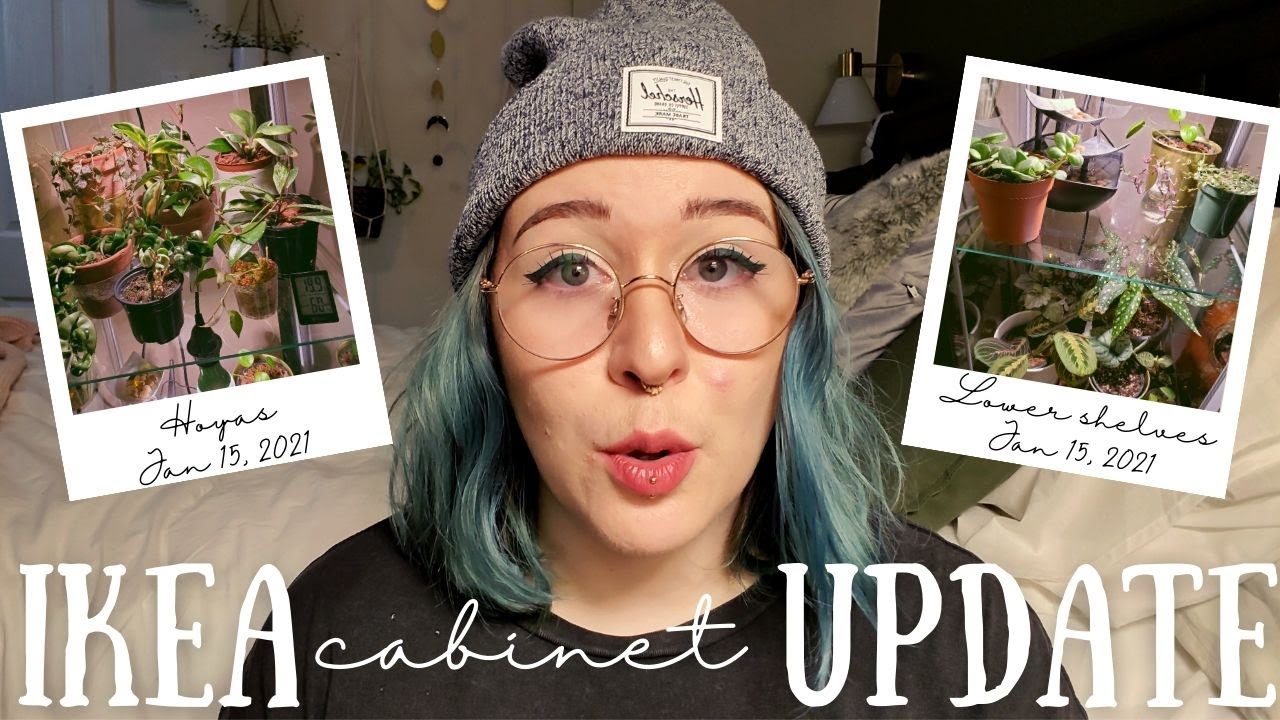 IKEA Greenhouse Cabinet UPDATE & TIPS // DETOLF Edition