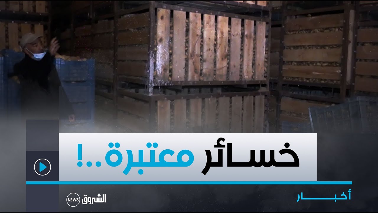نقاش العاشرة | فائض في الانتاج ونقص غرف التبريد.. فلاحون يتكبدون خسائر معتبرة