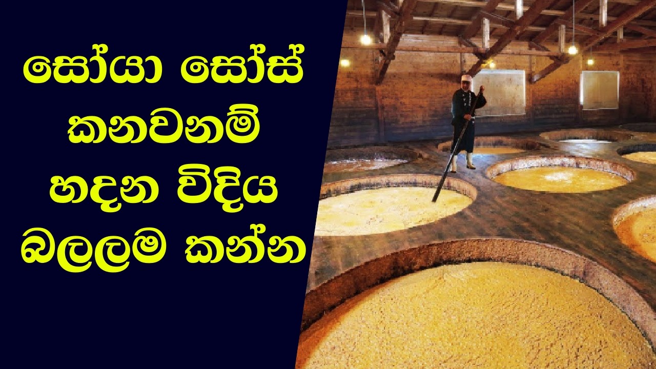 කර්මාන්ත ශාලාවේ සෝයා සෝස් සාදන ආකාරය | How Soy Sauce Is Made In Factory