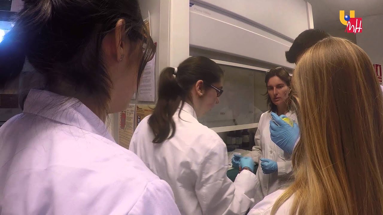 Hoy estudiamos Biotecnología