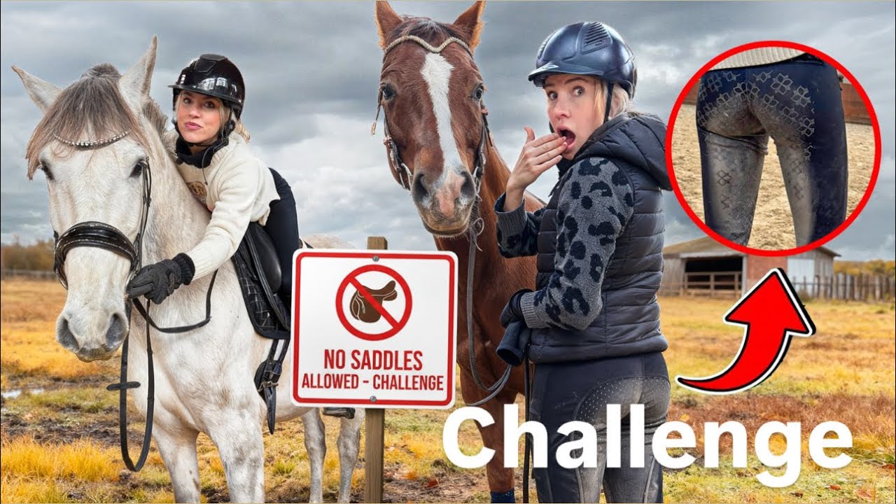 CHALLENGE: ohne ALLES REITEN ?! 😨✨🙊 Es wird WILD 🚀