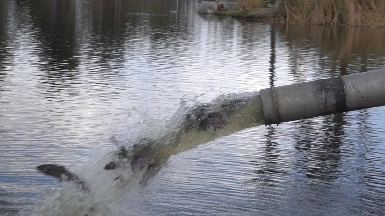 Stock Day! -- Trout Fishing At Santee Lakes