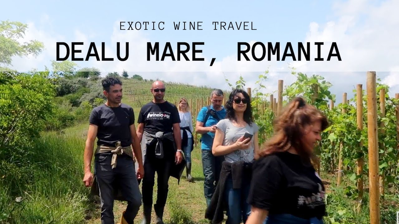 Romanian Wine from Dealu Mare