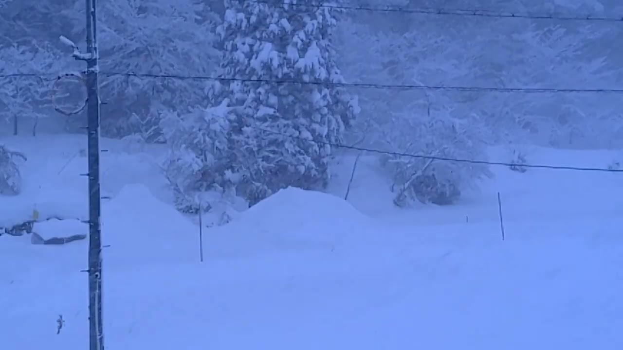 大雪警報