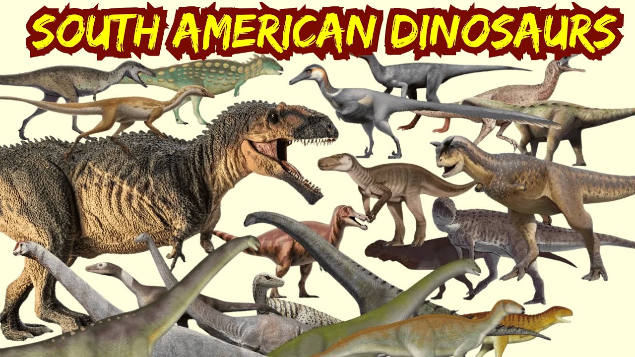 Dinosaurs for kids   List of South American Dinosaurs Names Part   1 