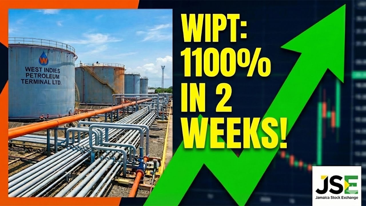 WIPT Share  Price EXPLODES 11 Fold In 2 Weeks... What's Coming Next?