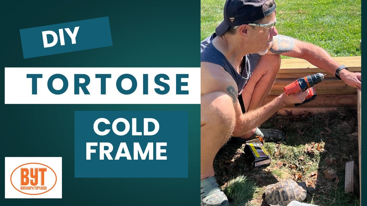 DIY Cold Frame for Tortoises | Winter Tortoise Enclosure Build in Pennsylvania