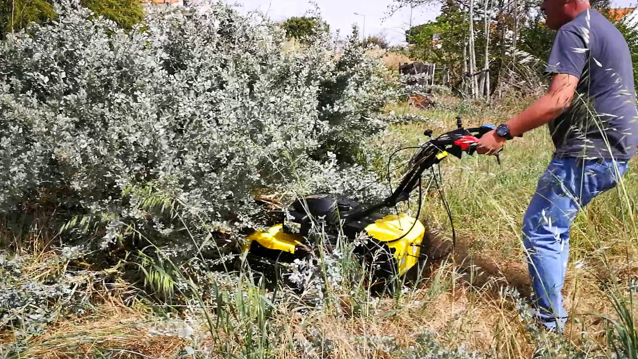 Testing CORTA MATO   ROQUES ET LECOEUR RL 115