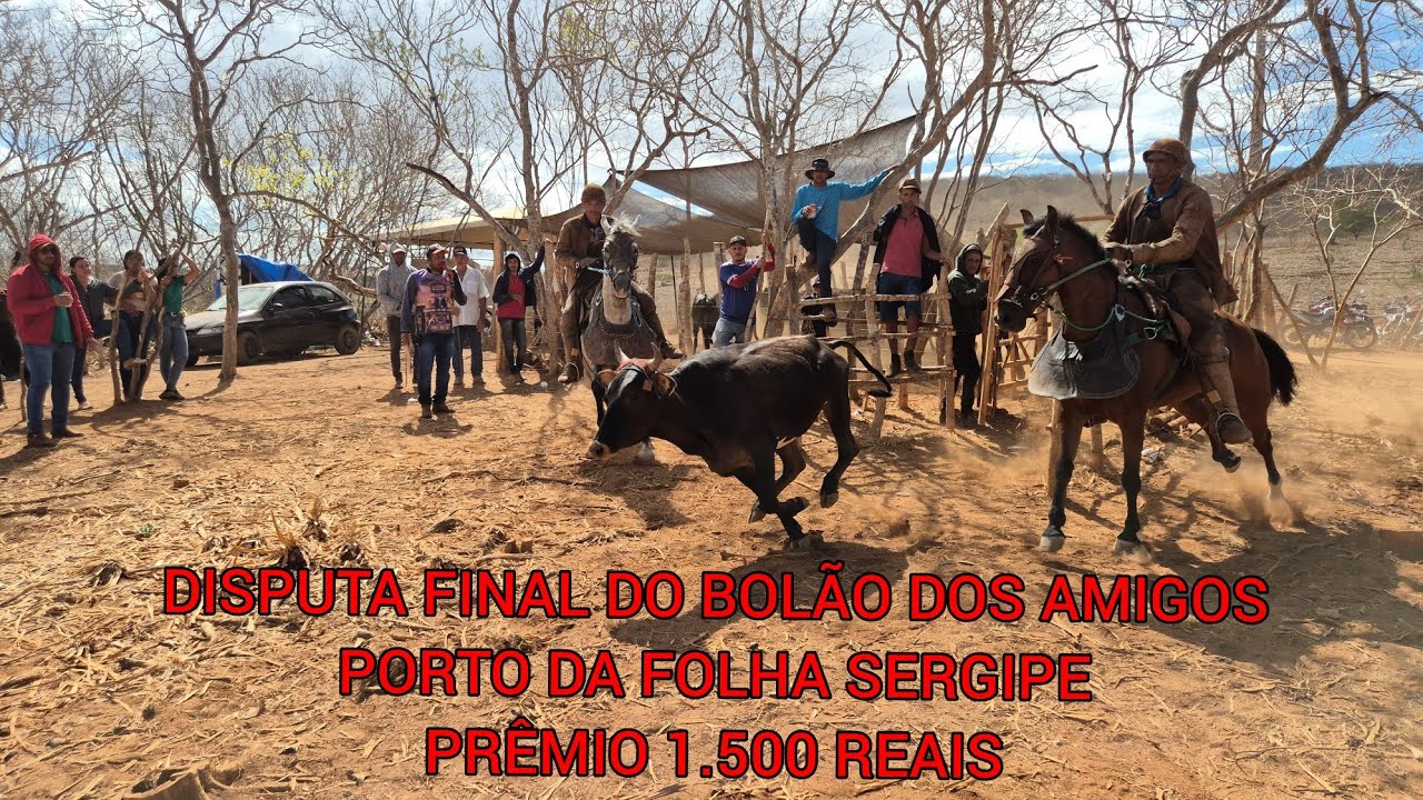 Disputa final do bolão de pega de boi no mato dos amigos em Porto da Folha Sergipe. 