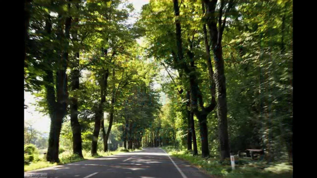 Breginjski kot