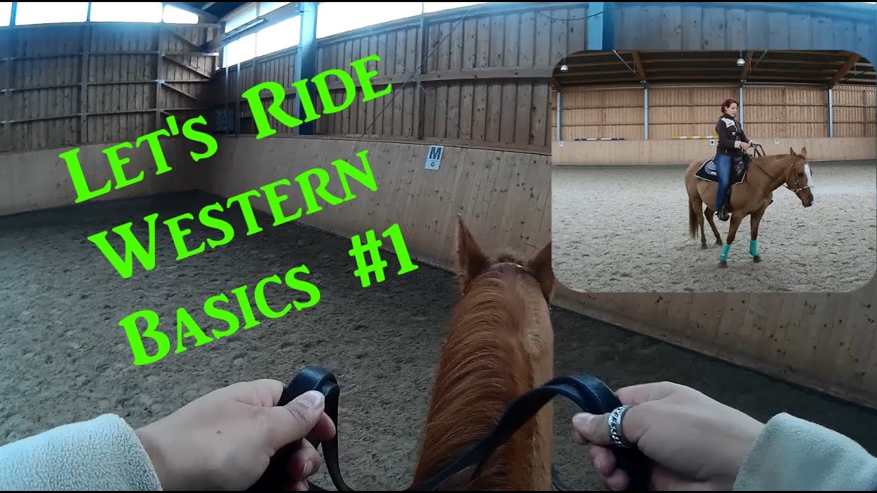 [LetsRide] Westernreiten Basics #1 Anreiten, Anhalten, Rückwärtsrichten...