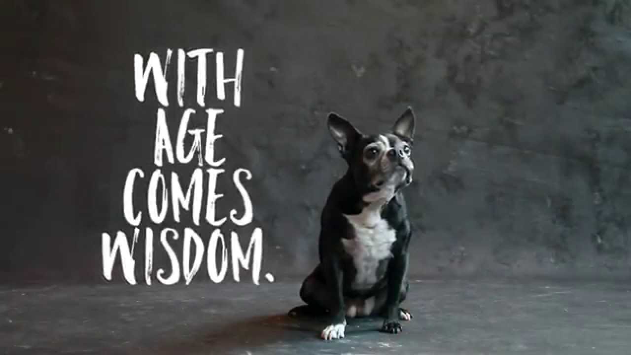 Home is Where the Heart Is CAPITAL CAMPAIGN VIDEO