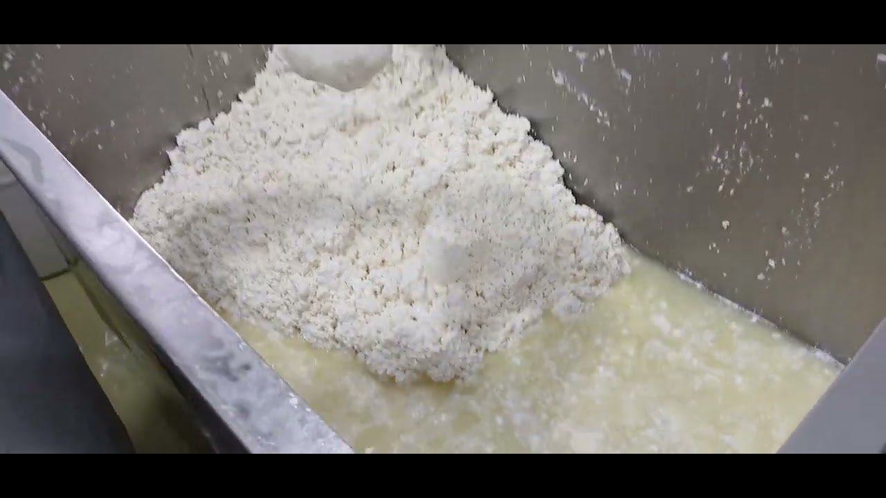 Fazendo Queijo Artesanal 