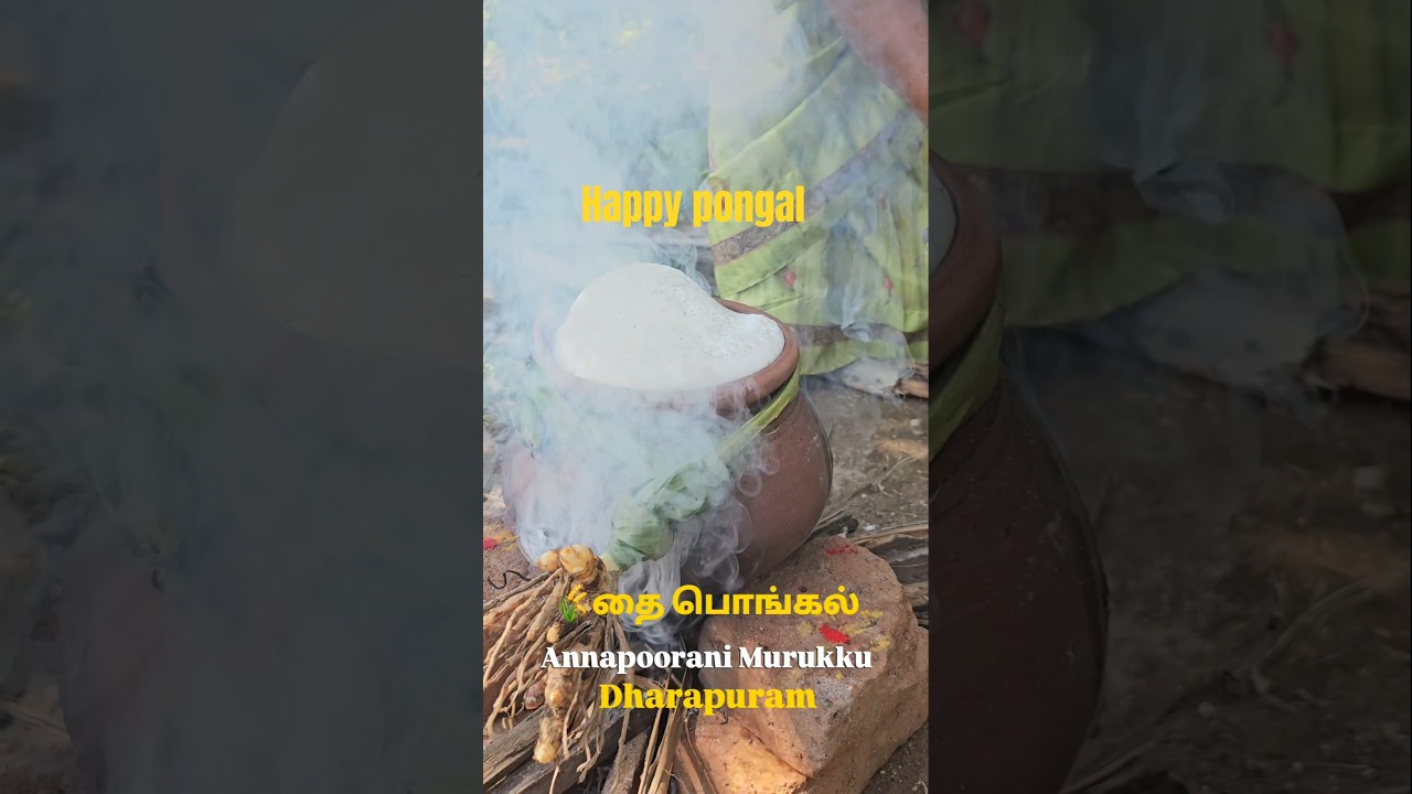 Annapoorani' Kitchen பொங்கல் கொண்டாட்டம் 