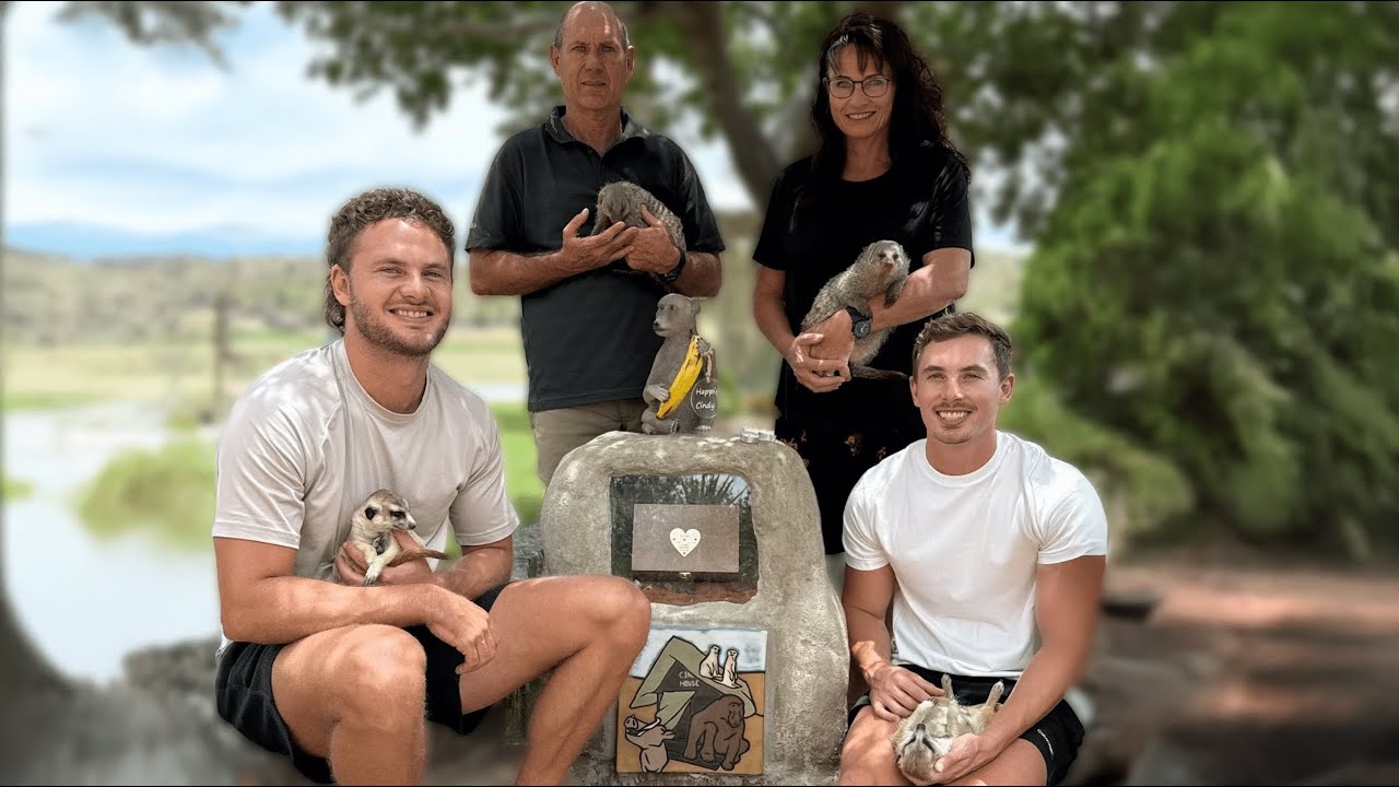 Celebrating The Life Of Cindy The Baboon