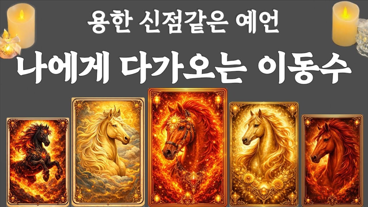  [타로] 🔮언제 움직이게 될까? 시점이 드러나는 이동수 리딩#이동수 #신점타로 #현바다