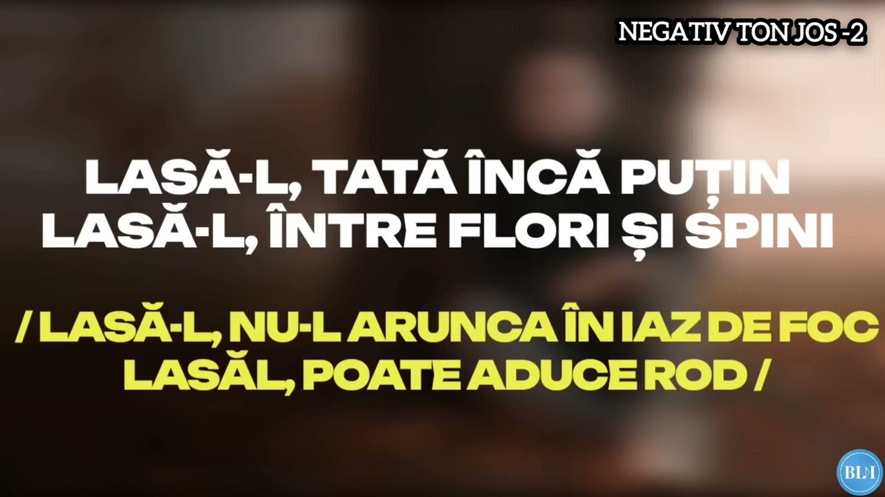 TAIE-L NEGATIV TON JOS