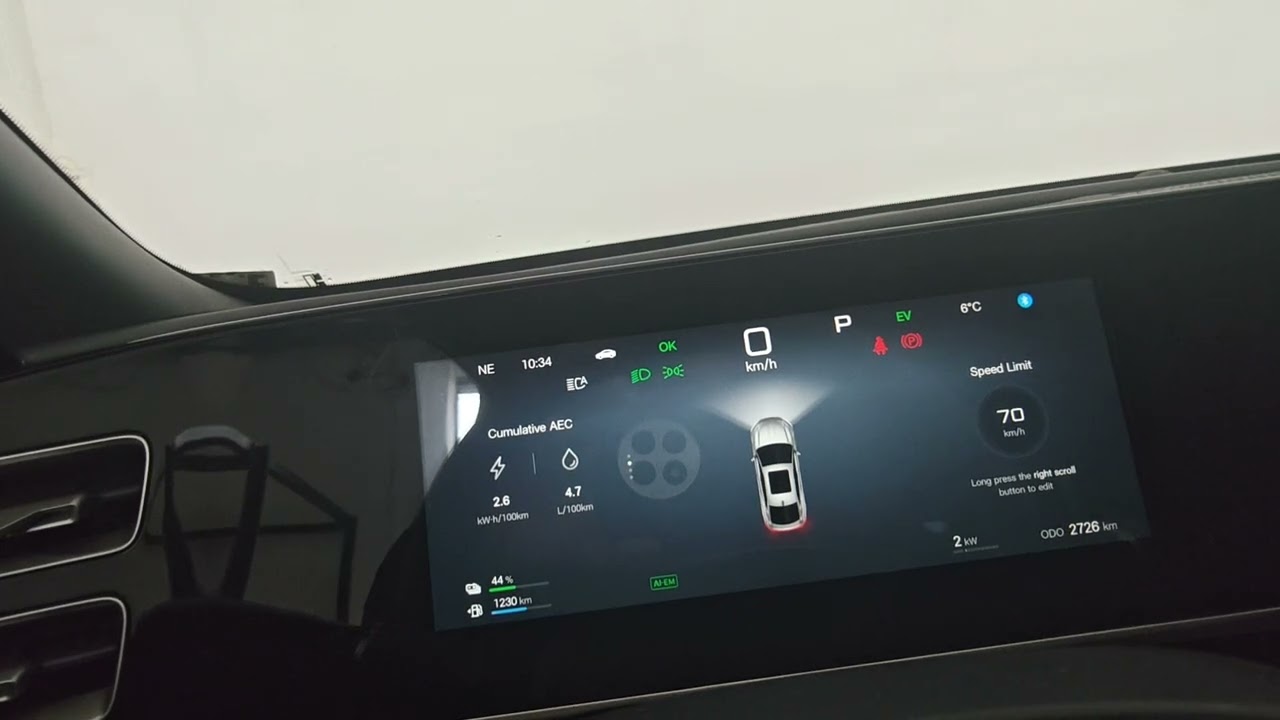 BYD Qin l расход и минусв