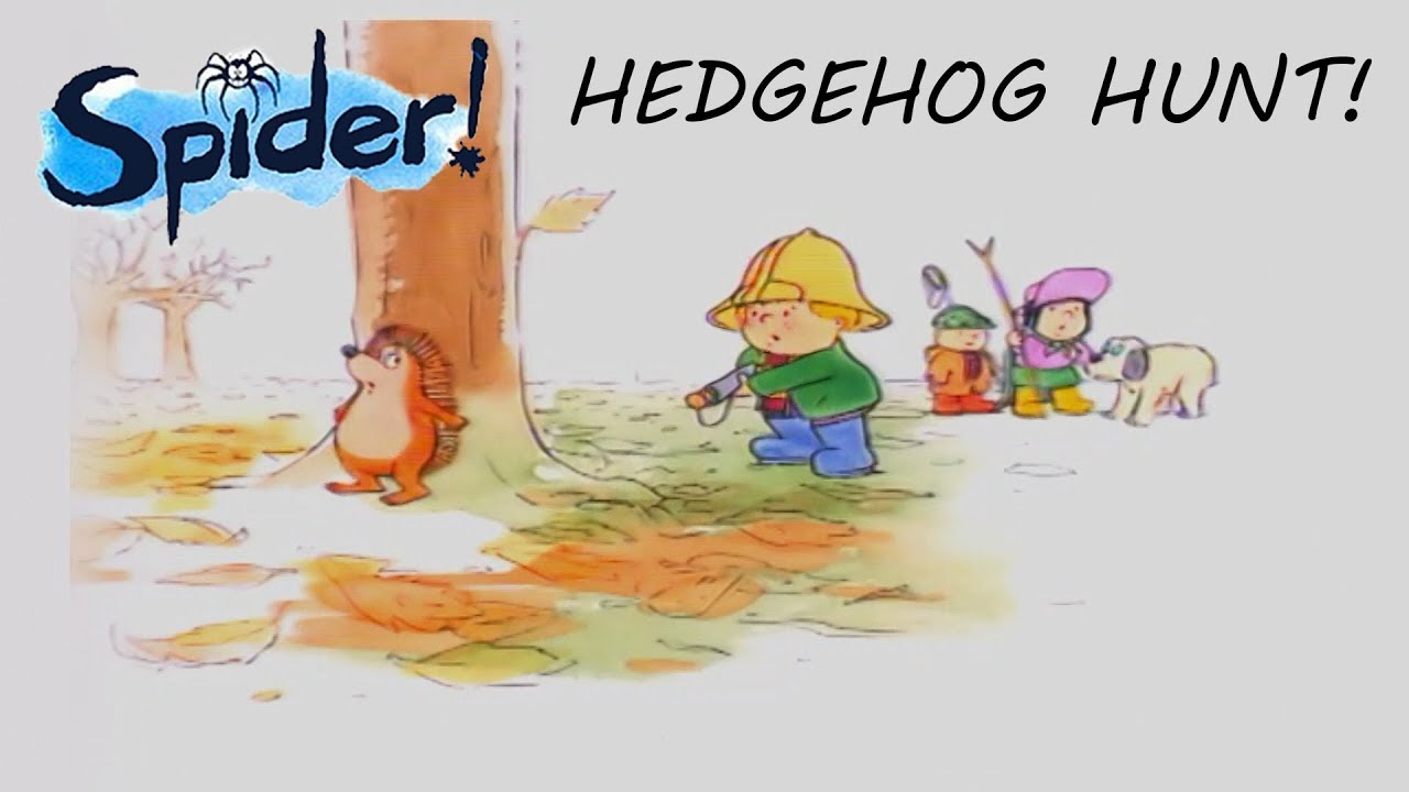 Spider! Episode 5 | Hedgehog Hunt | SPIDER IN THE BATH