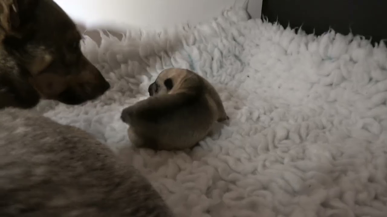 Her first week