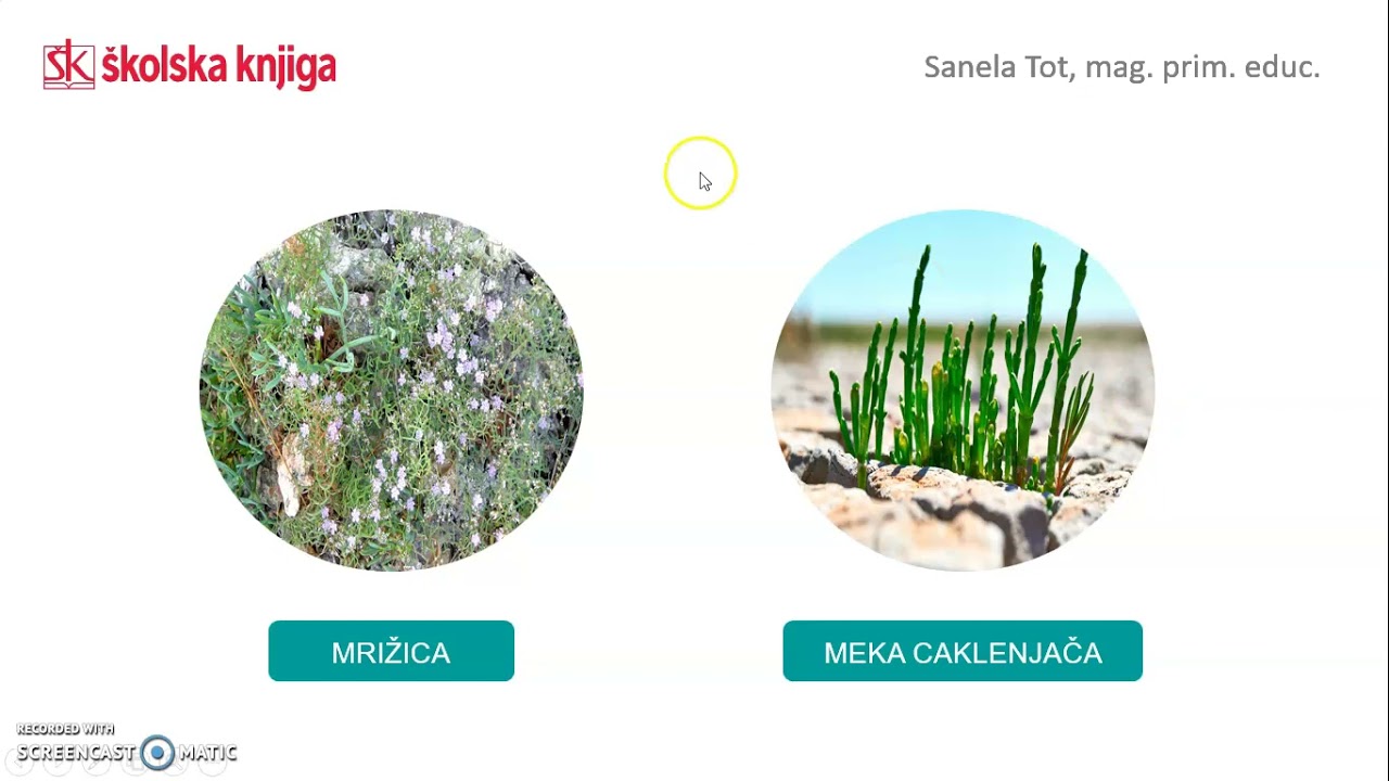 Životne zajednice uz more