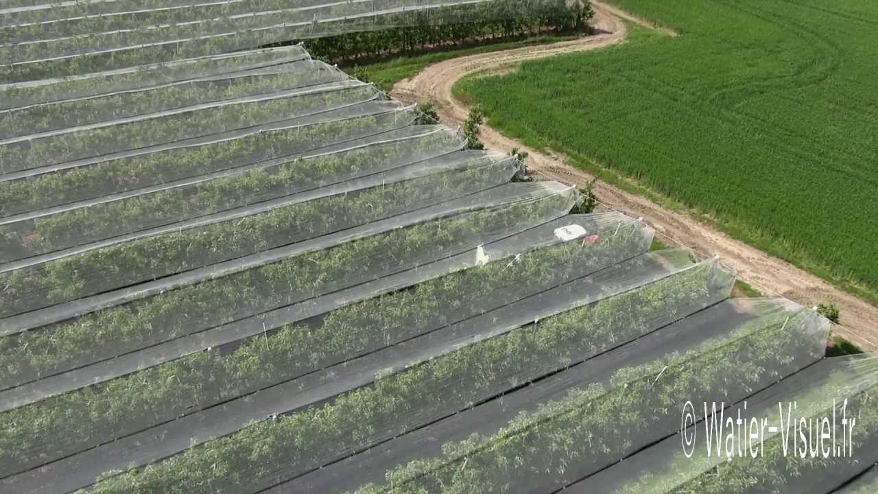 Traitement phytosanitaire d'un verger de pommiers en Anjou dans le Val de Loire