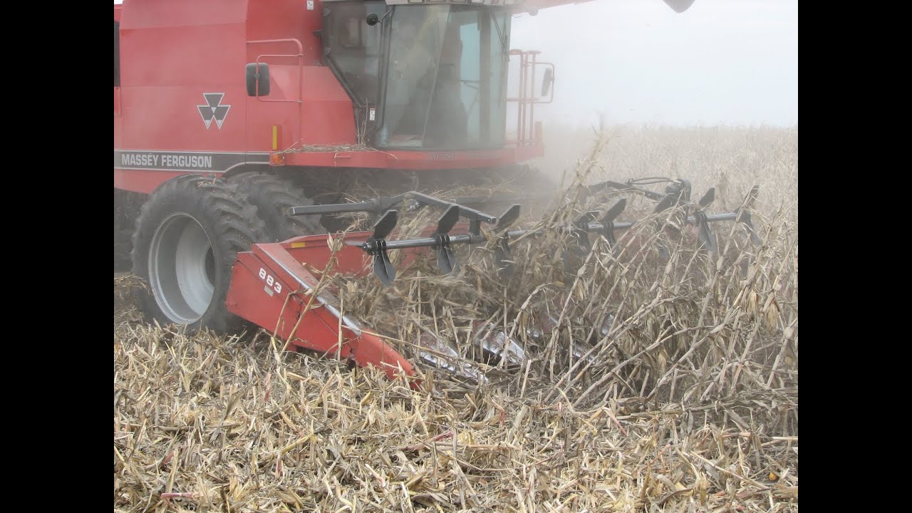 Hawkins Corn Reel a 