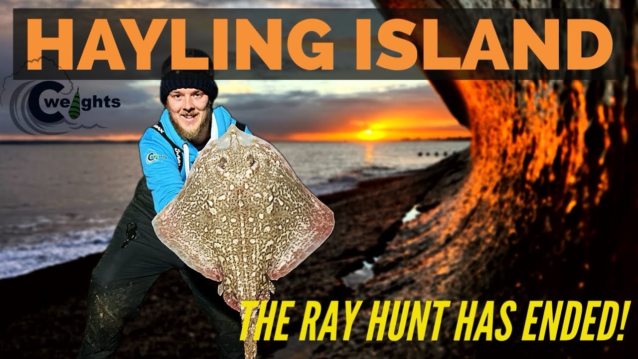 Fishing At HAYLING ISLAND For THORNBACK RAYS - Sea Fishing Uk March 2024