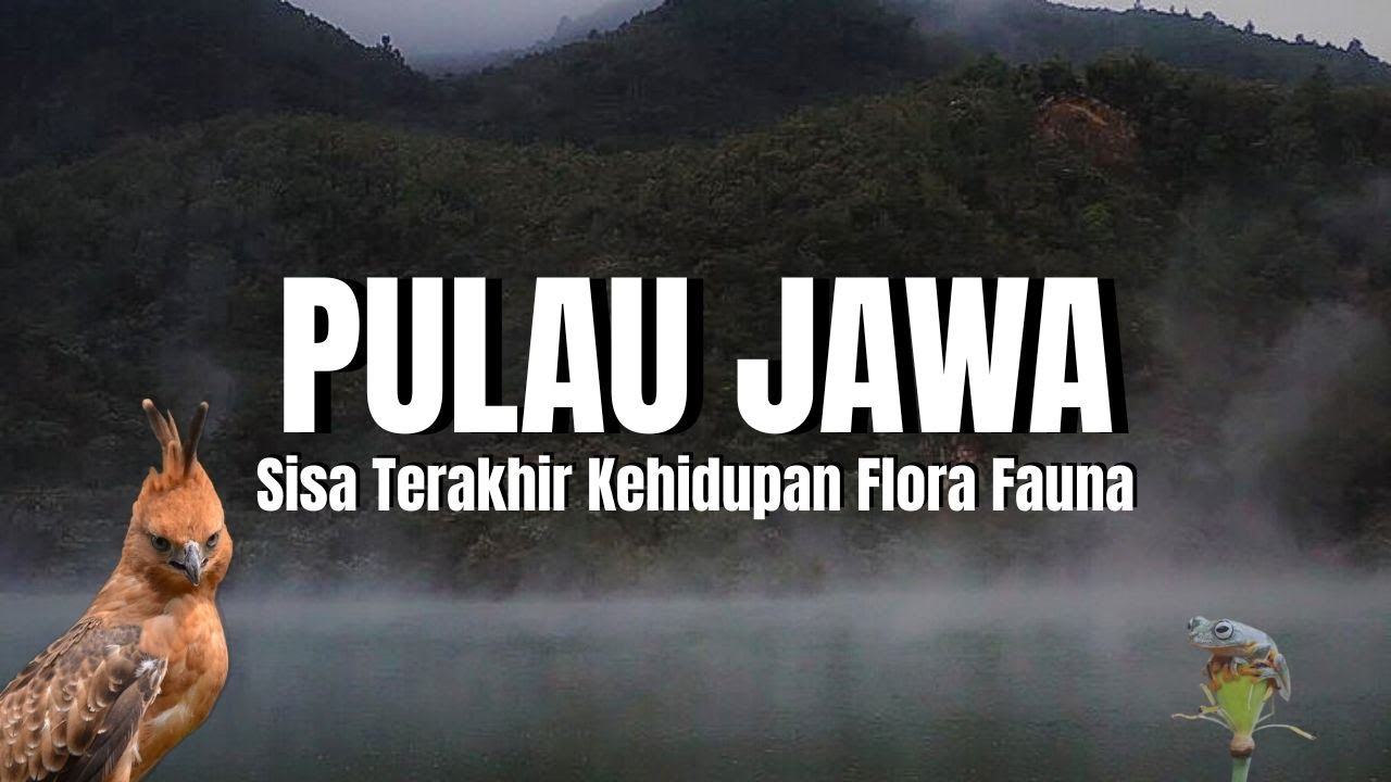 Pulau Jawa: Alam Tua yang Masih Bernapas, Tempat Flora Fauna Langka