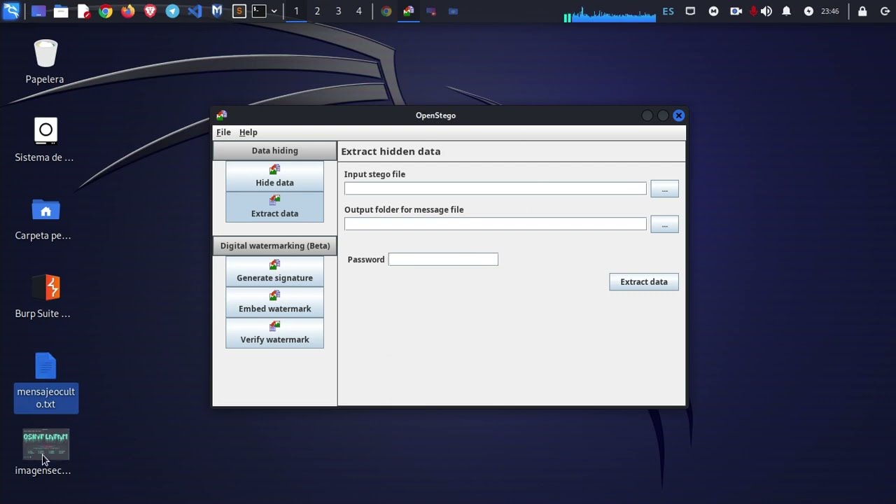 Esteganograf&iacute;a con OpenStego
