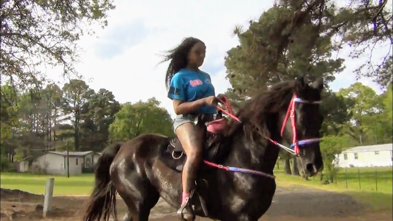 2024 McNab Arkansas Racking Horse Trail and Road Race