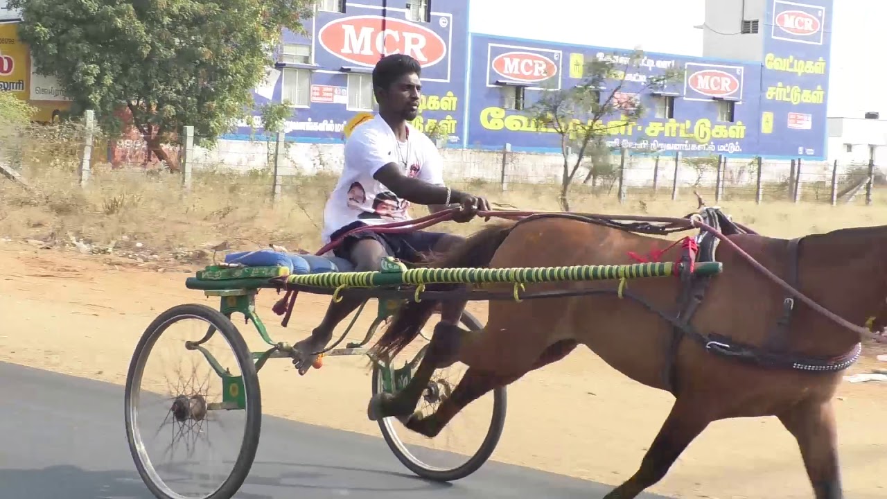 மாபெரும்  குதிரை வண்டி எல்கை பந்தயம் 2019 (PART -1) | கரூர்