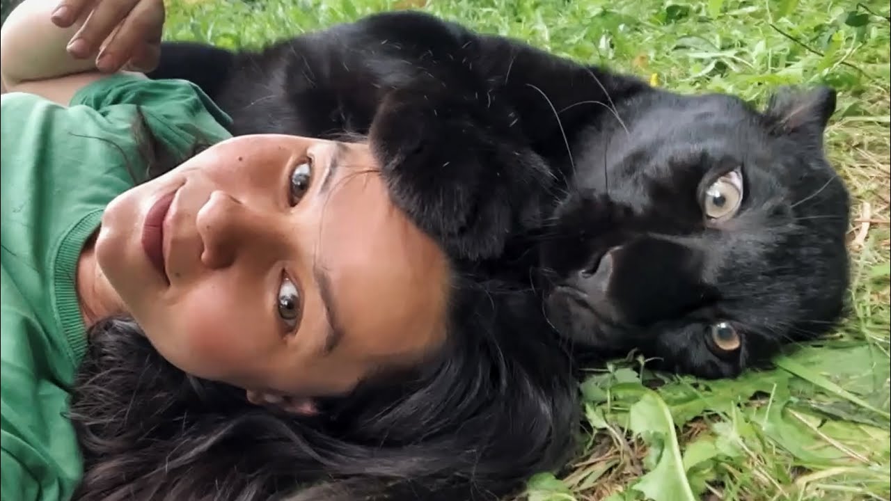 Встречаем Викулю 😸 Узнает ли себя пантера Луна 😊🐾