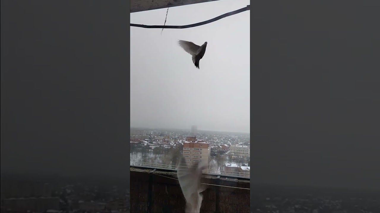 Ужин