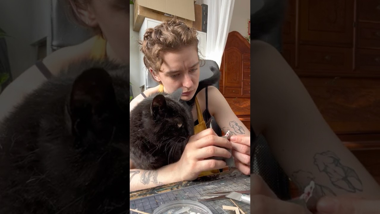 DER KOFFER - Folge 12! 🎶