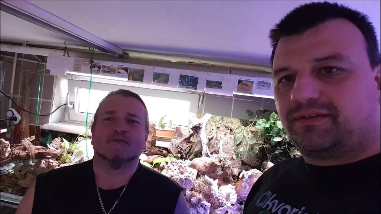 Akvarističke Priče sez.1 ep.9 - 